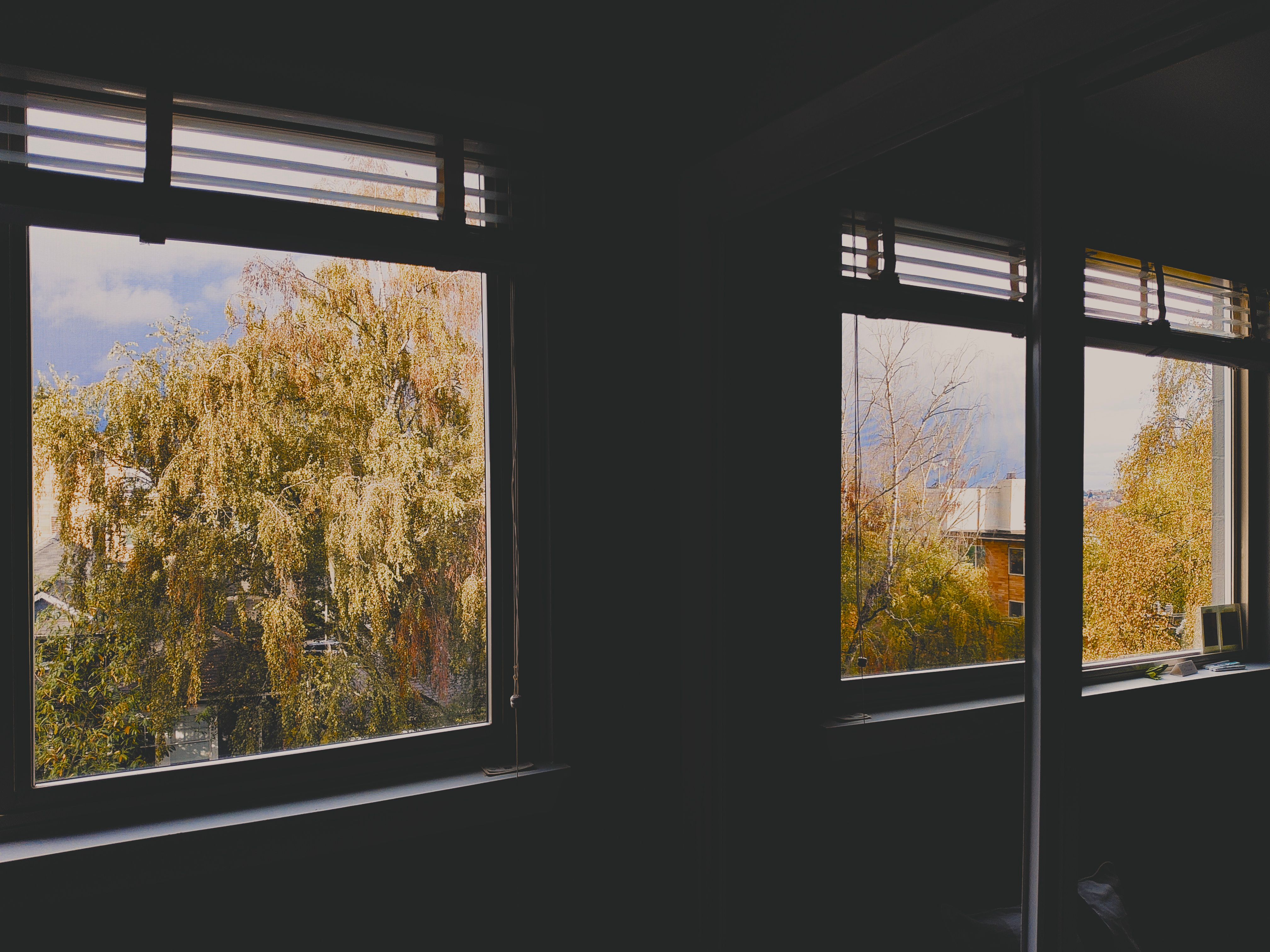 the window in my bedroom and its reflection in a mirror